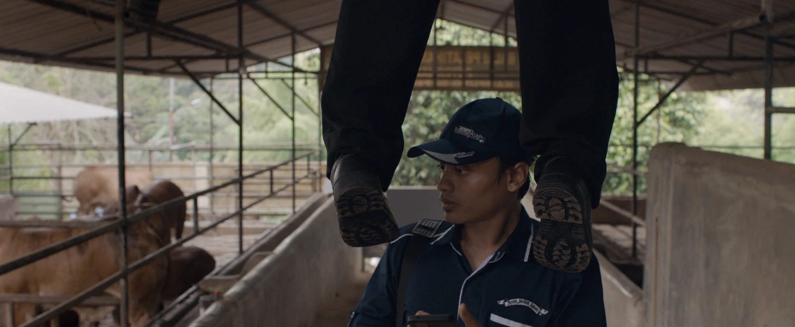 Still Shot 11